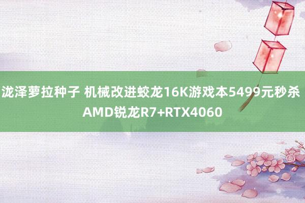 泷泽萝拉种子 机械改进蛟龙16K游戏本5499元秒杀 AMD锐龙R7+RTX4060