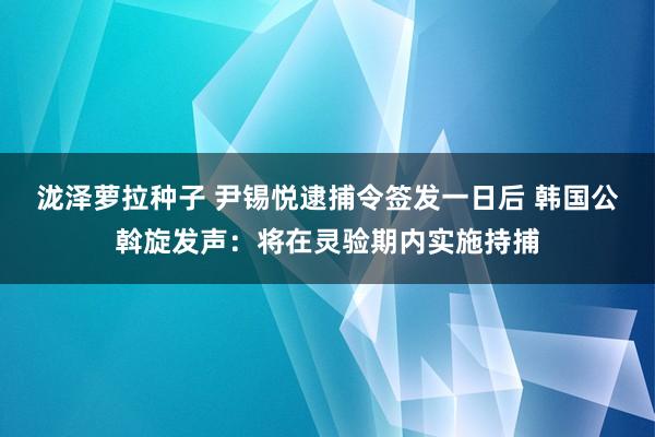 泷泽萝拉种子 尹锡悦逮捕令签发一日后 韩国公斡旋发声：将在灵验期内实施持捕