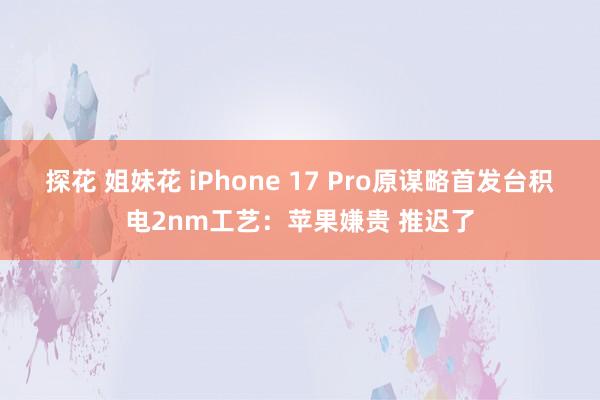 探花 姐妹花 iPhone 17 Pro原谋略首发台积电2nm工艺：苹果嫌贵 推迟了