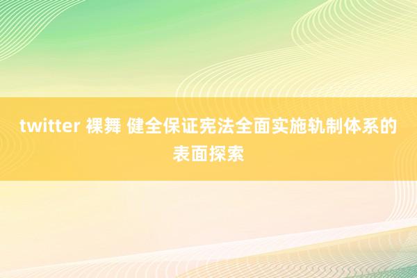 twitter 裸舞 健全保证宪法全面实施轨制体系的表面探索