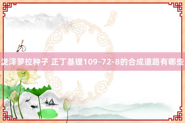 泷泽萝拉种子 正丁基锂109-72-8的合成道路有哪些