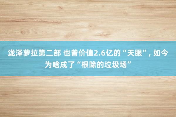 泷泽萝拉第二部 也曾价值2.6亿的“天眼”， 如今为啥成了“根除的垃圾场”