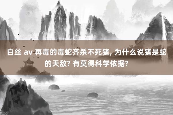 白丝 av 再毒的毒蛇齐杀不死猪， 为什么说猪是蛇的天敌? 有莫得科学依据?