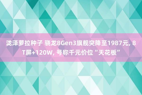 泷泽萝拉种子 骁龙8Gen3旗舰突降至1987元， 8T屏+120W， 号称千元价位“天花板”