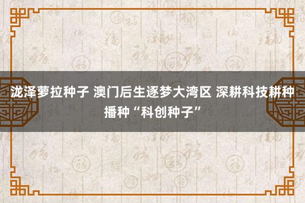 泷泽萝拉种子 澳门后生逐梦大湾区 深耕科技耕种播种“科创种子”