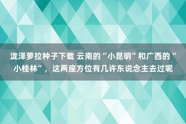 泷泽萝拉种子下载 云南的“小昆明”和广西的“小桂林”，这两座方位有几许东说念主去过呢