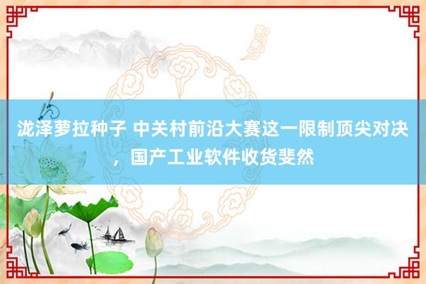 泷泽萝拉种子 中关村前沿大赛这一限制顶尖对决，国产工业软件收货斐然