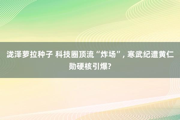 泷泽萝拉种子 科技圈顶流“炸场”， 寒武纪遭黄仁勋硬核引爆?