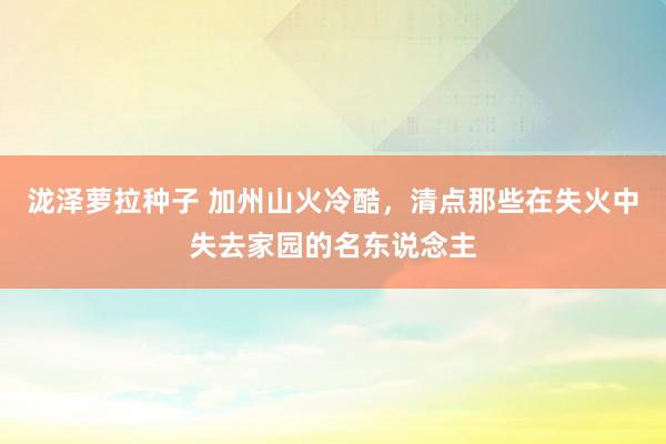 泷泽萝拉种子 加州山火冷酷，清点那些在失火中失去家园的名东说念主