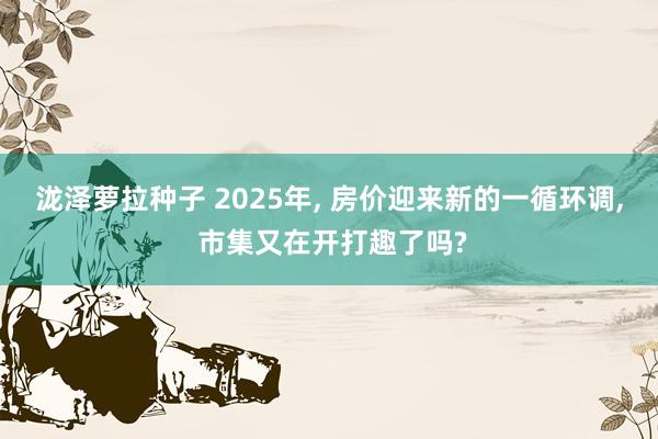 泷泽萝拉种子 2025年， 房价迎来新的一循环调， 市集又在开打趣了吗?