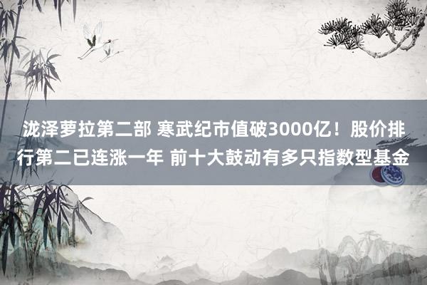 泷泽萝拉第二部 寒武纪市值破3000亿！股价排行第二已连涨一年 前十大鼓动有多只指数型基金