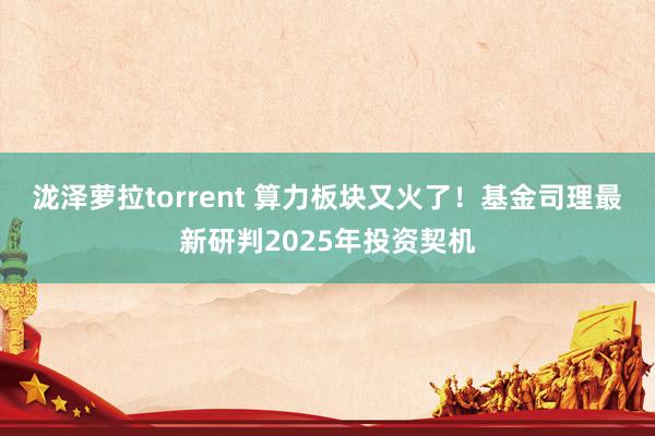 泷泽萝拉torrent 算力板块又火了！基金司理最新研判2025年投资契机