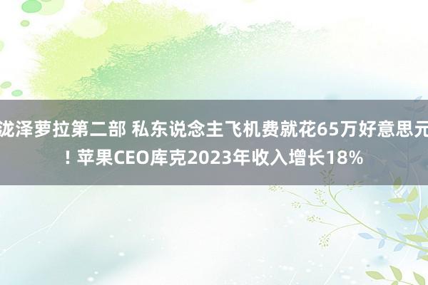 泷泽萝拉第二部 私东说念主飞机费就花65万好意思元! 苹果CEO库克2023年收入增长18%