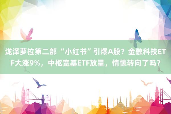 泷泽萝拉第二部 “小红书”引爆A股？金融科技ETF大涨9%，中枢宽基ETF放量，情愫转向了吗？