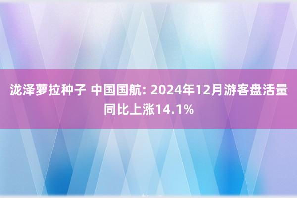 泷泽萝拉种子 中国国航: 2024年12月游客盘活量同比上涨14.1%