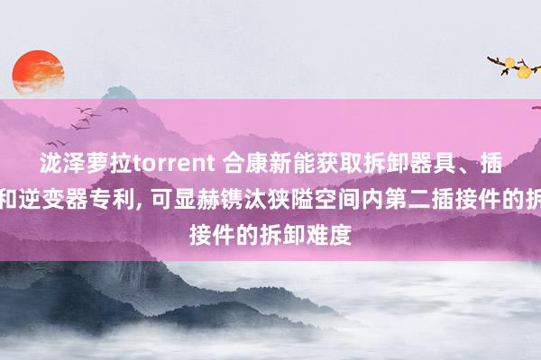 泷泽萝拉torrent 合康新能获取拆卸器具、插接组件和逆变器专利， 可显赫镌汰狭隘空间内第二插接件的拆卸难度