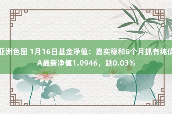 亚洲色图 1月16日基金净值：嘉实稳和6个月抓有纯债A最新净值1.0946，跌0.03%