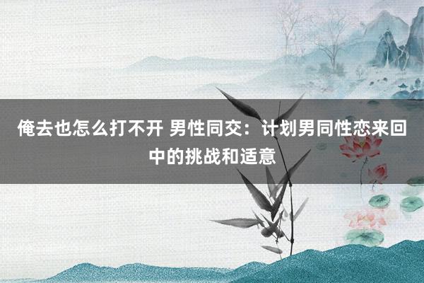 俺去也怎么打不开 男性同交：计划男同性恋来回中的挑战和适意