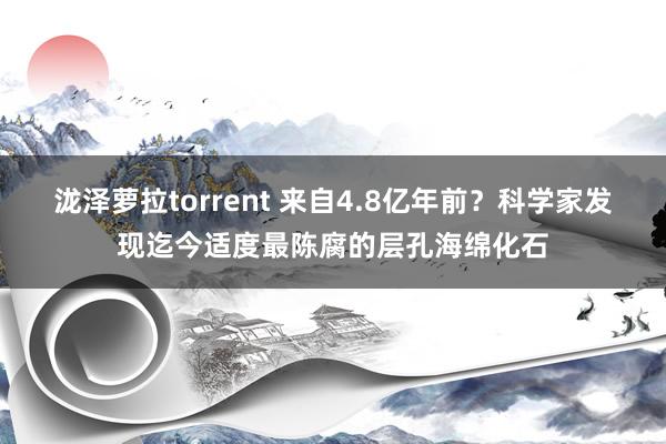 泷泽萝拉torrent 来自4.8亿年前？科学家发现迄今适度最陈腐的层孔海绵化石